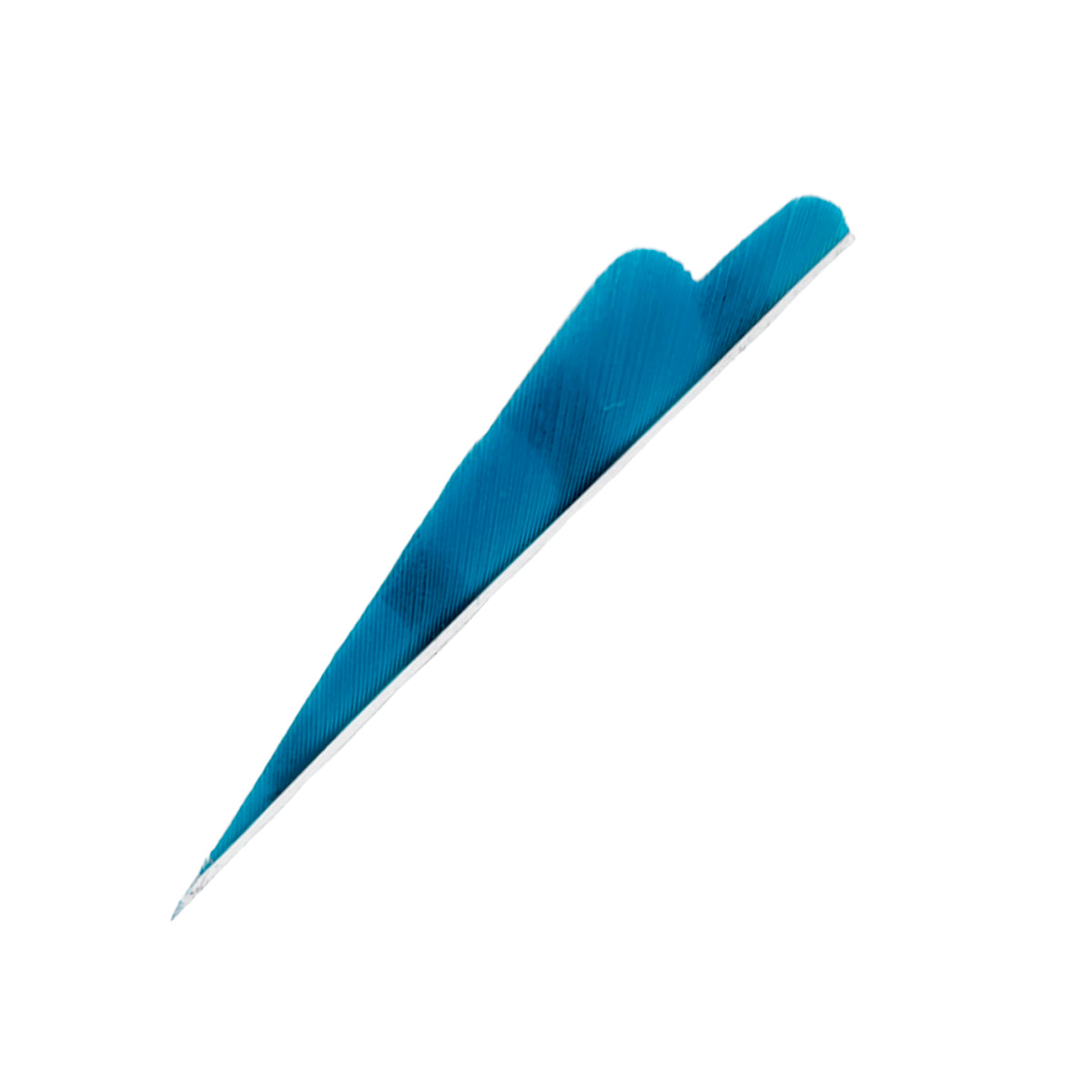 Sturmvogelfedern Barred