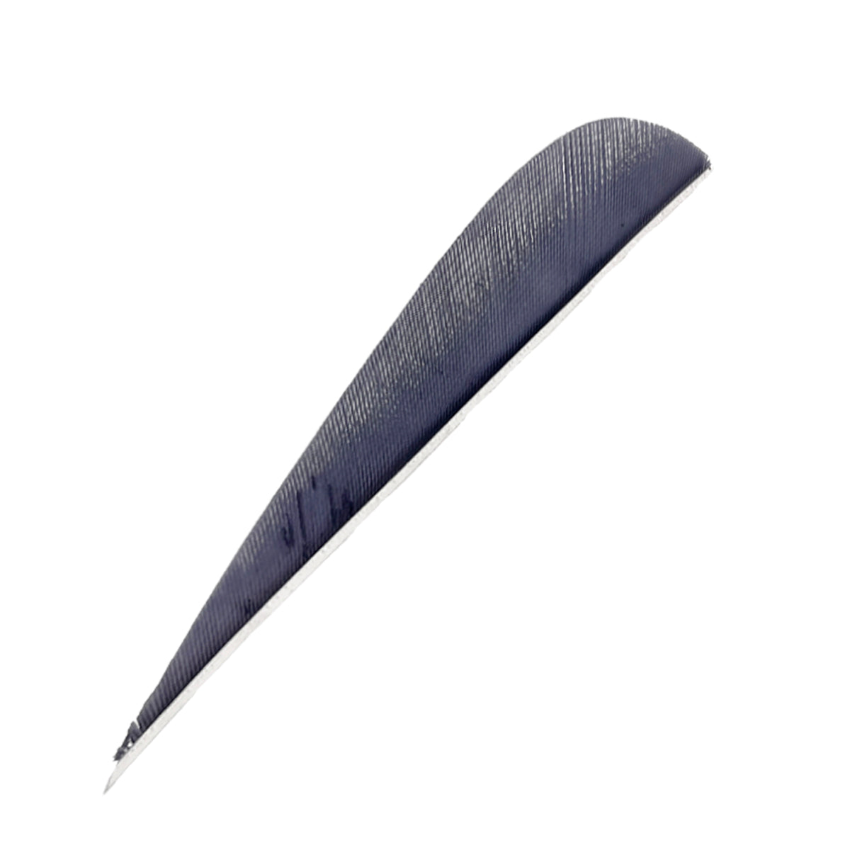 Ein einzelnes, dunkles, längliches Objekt mit gebogener, schmal zulaufender Spitze und feiner Oberflächenstruktur.