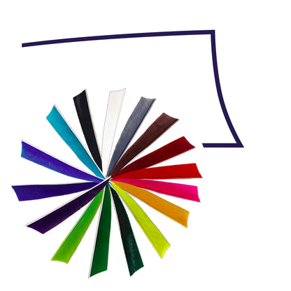 Feder RW Shield Solid