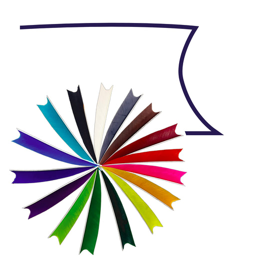 Feder RW Shark Solid