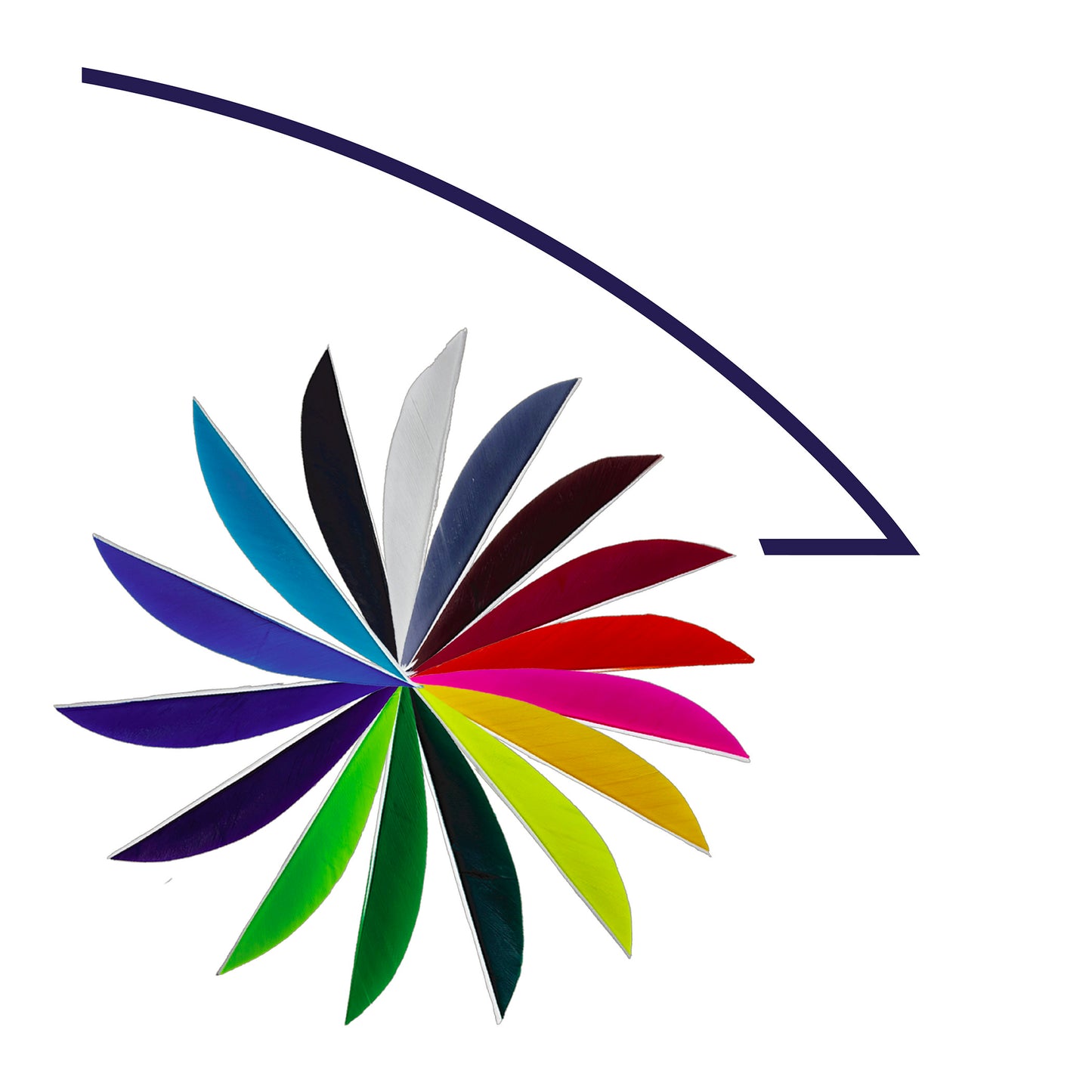 Feder RW Saubuckel Solid