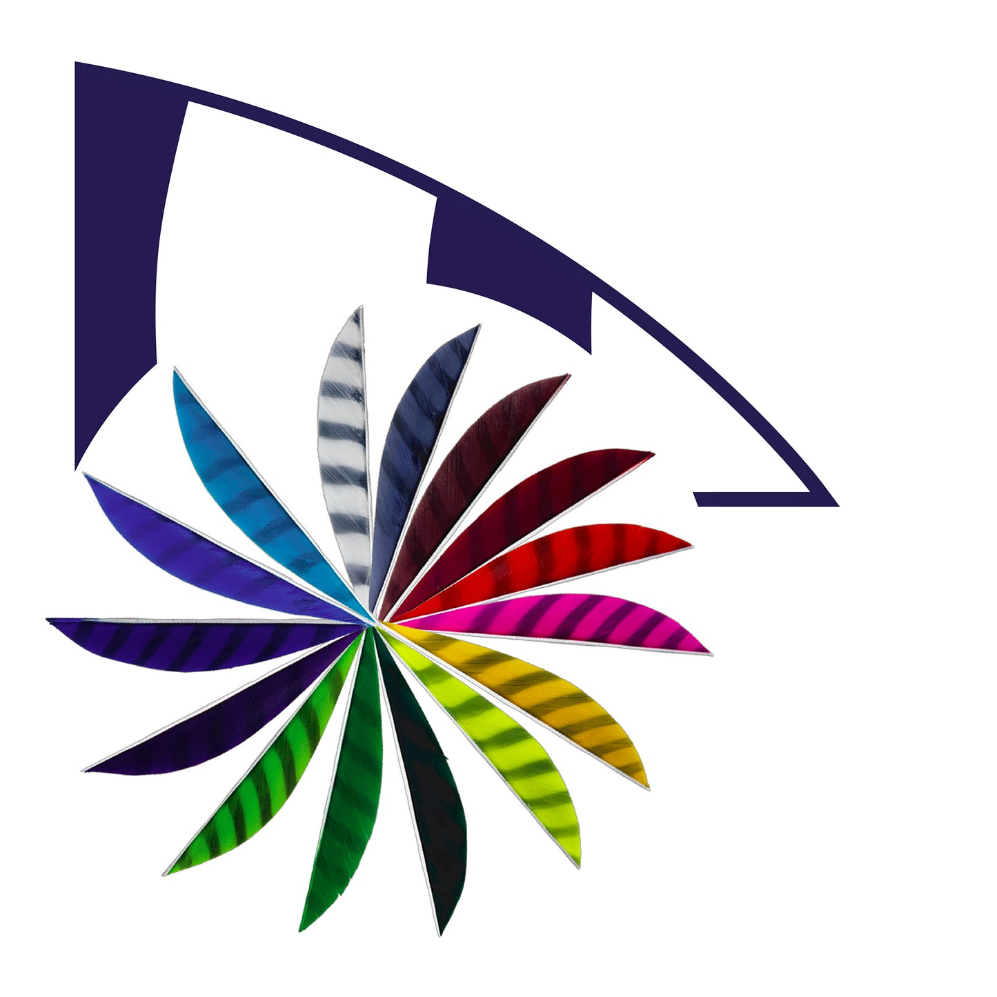 Feder RW Saubuckel Barred