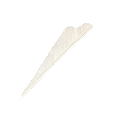 Sturmvogelfedern Solid