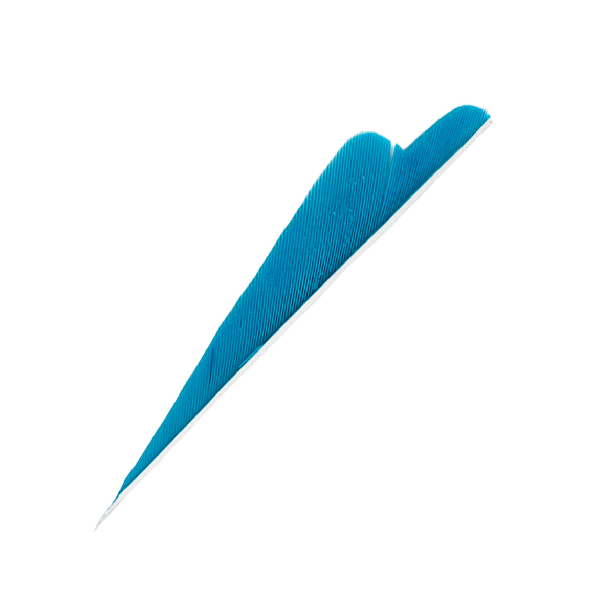 Sturmvogelfedern Solid