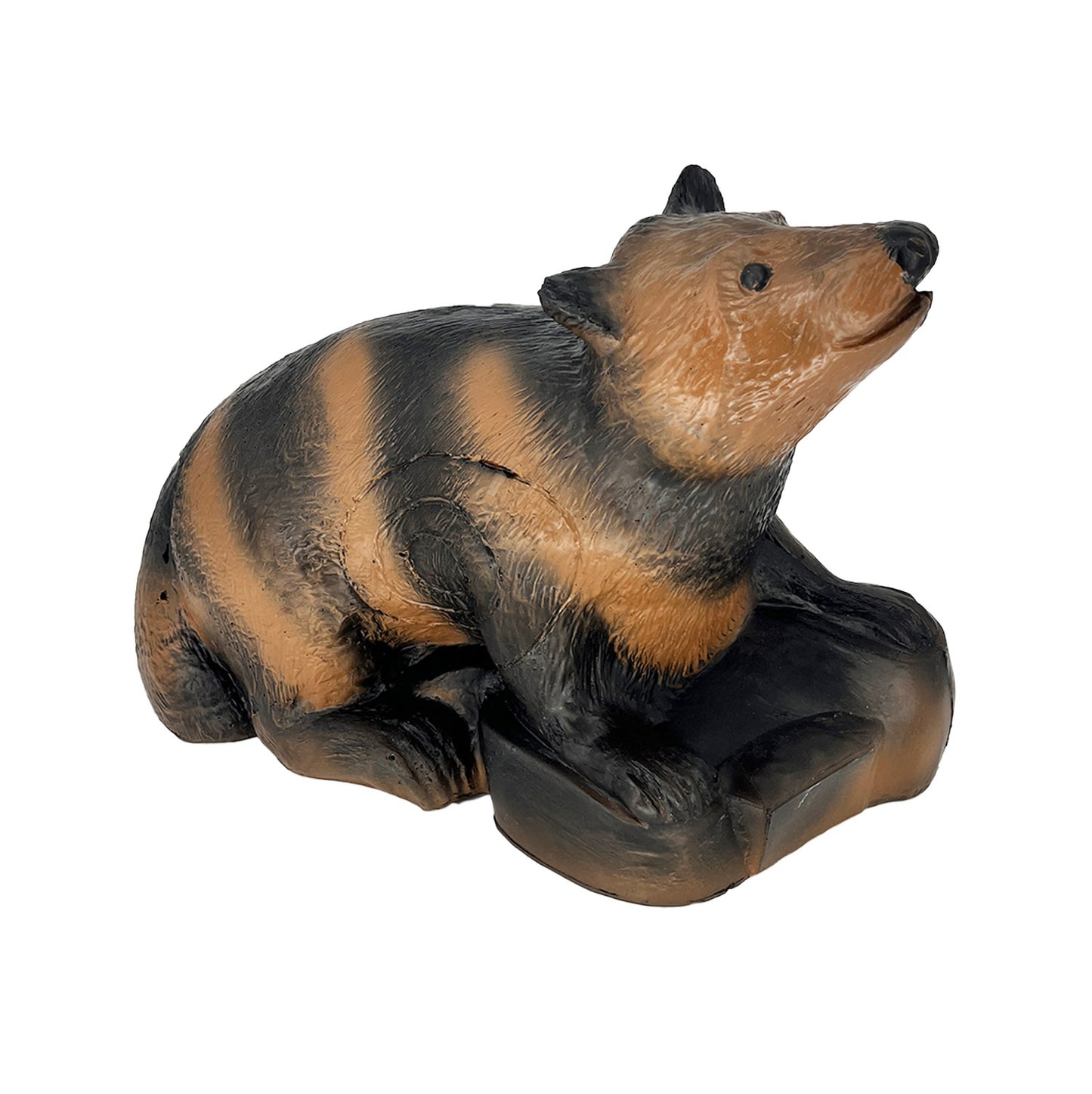 3D Ziel Waschbär Ernie