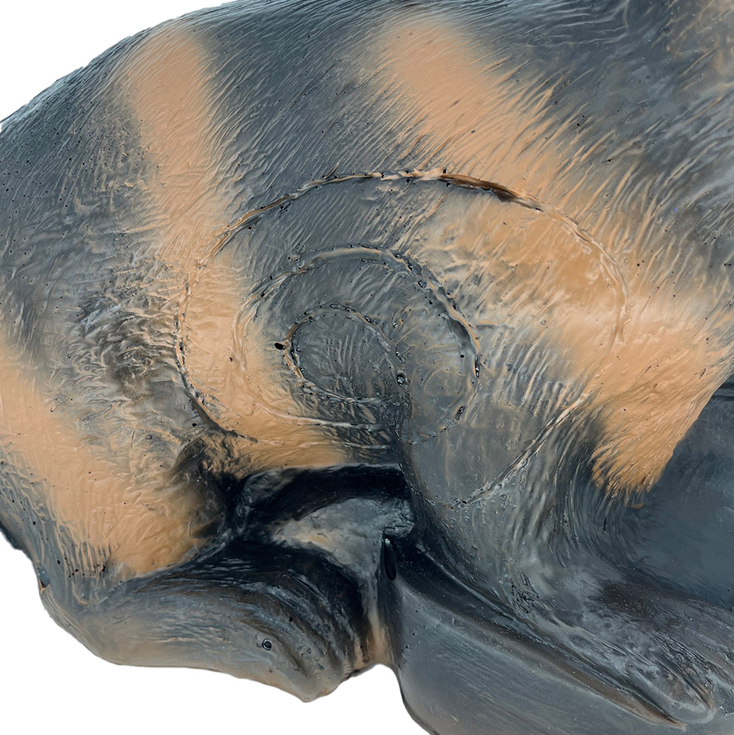 3D Ziel Waschbär Ernie