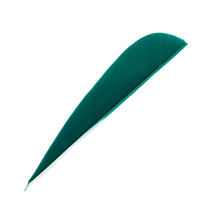 Feder RW Parabol Solid