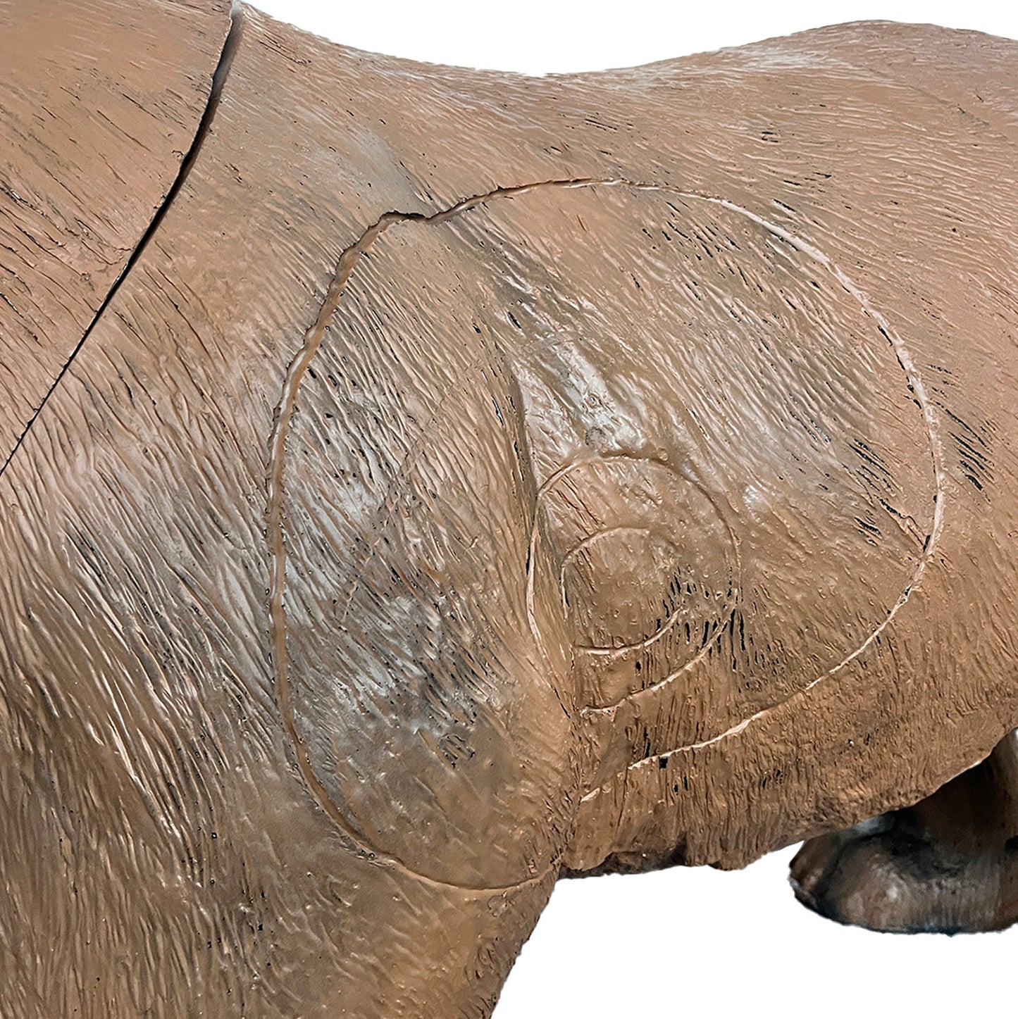 3D Ziel Ben der Bär