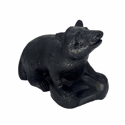 3D Ziel Waschbär Ernie