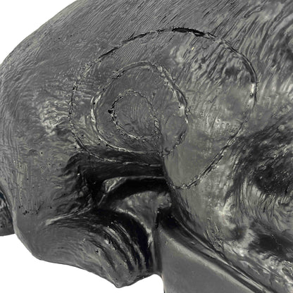 3D Ziel Waschbär Ernie