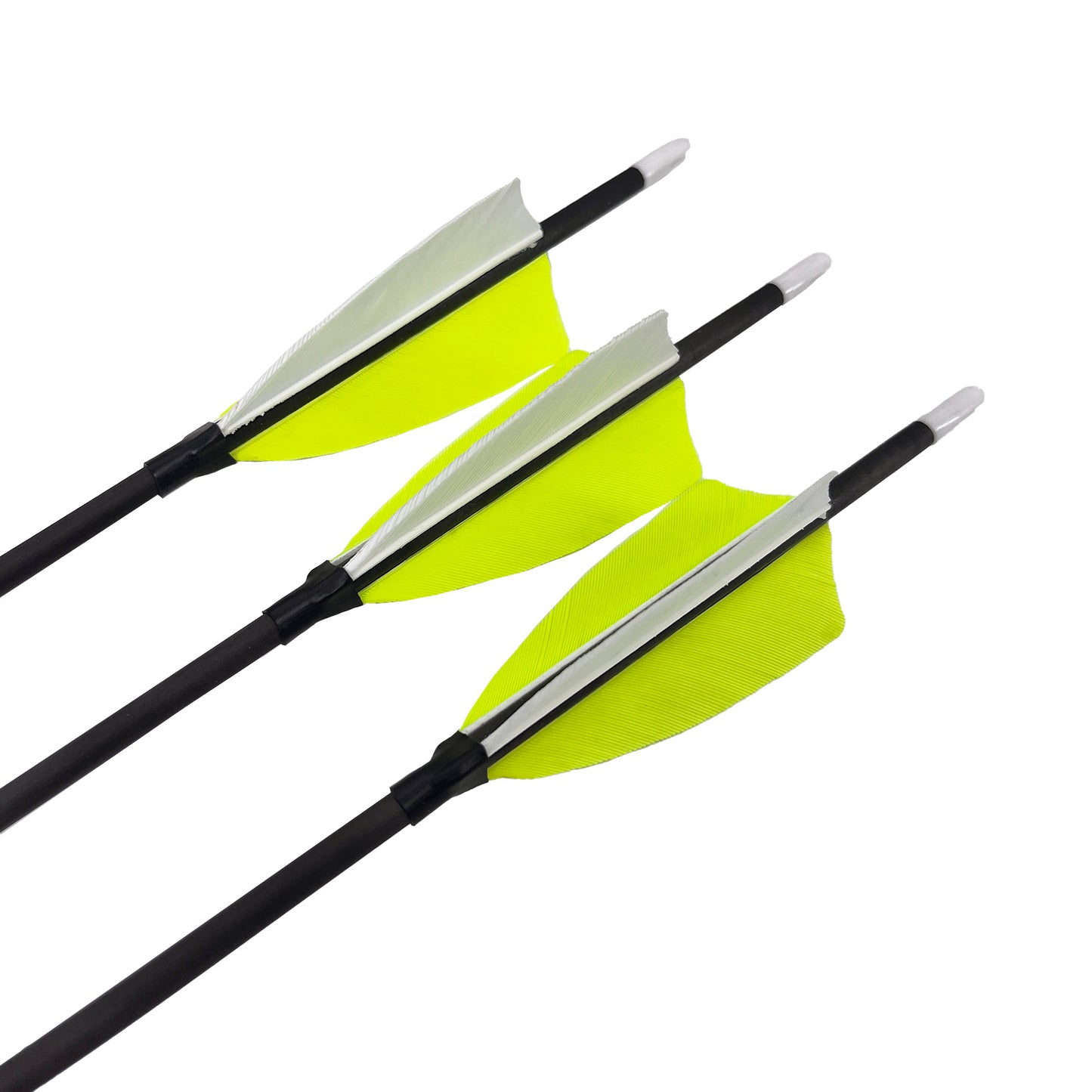 Fertigpfeil Barracuda Rebel 12Stk