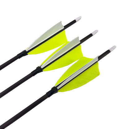 Fertigpfeil Barracuda Rebel 12Stk