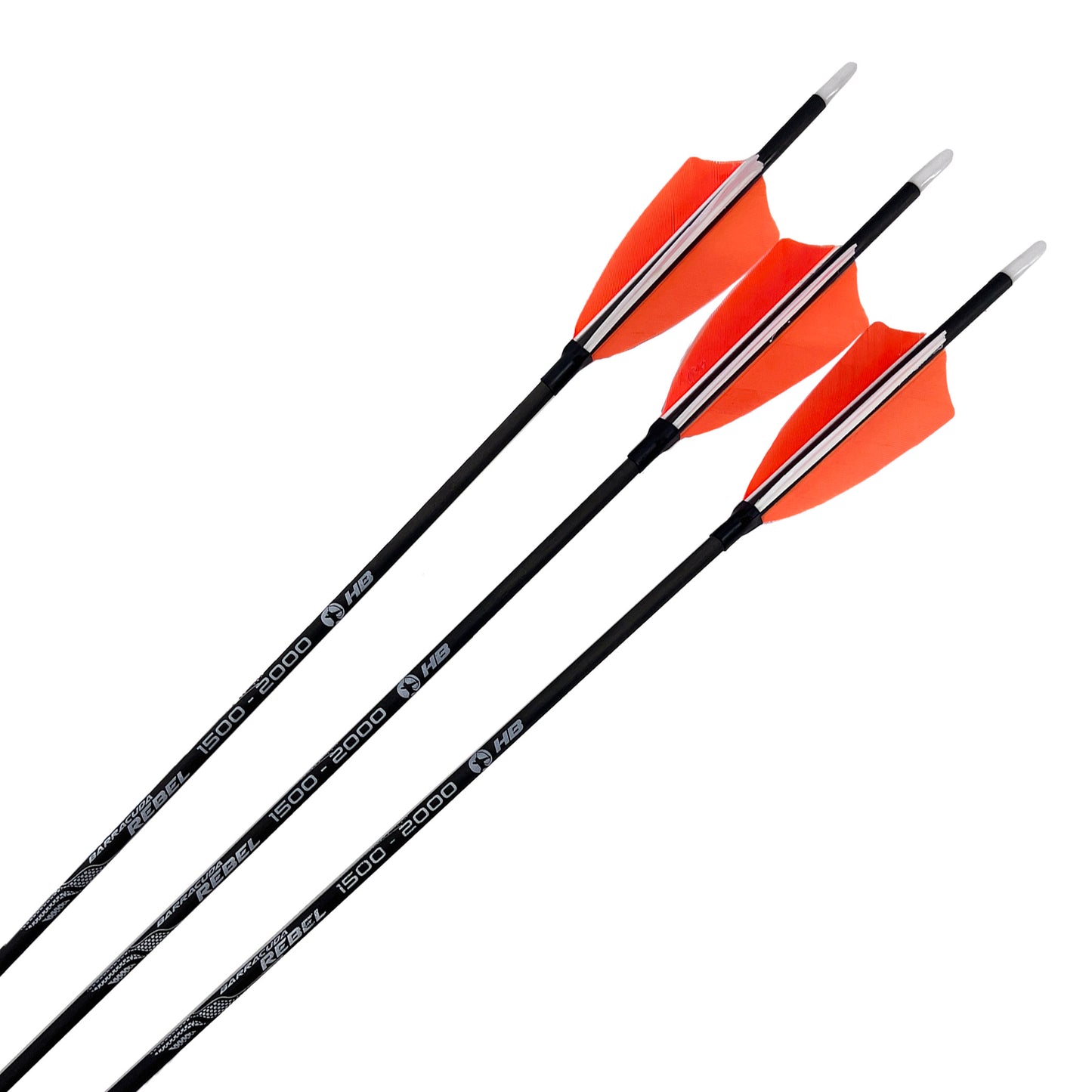 Fertigpfeil Barracuda Rebel 12Stk