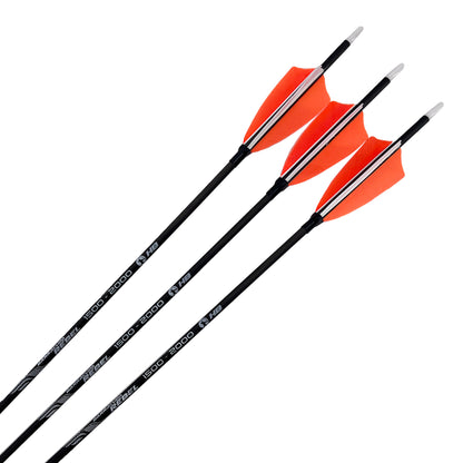 Fertigpfeil Barracuda Rebel 12Stk