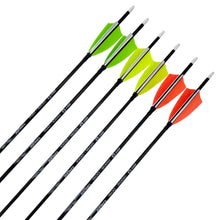 Fertigpfeil Barracuda Rebel 12Stk