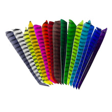 Mehrere lange, schmale Federn in verschiedenen Farben wie Schwarz-Weiß, Gelb, Pink, Rot, Braun, Grün, Blau und Lila. Streifenmuster sichtbar.