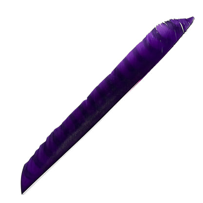 Federn Volle Länge Barred