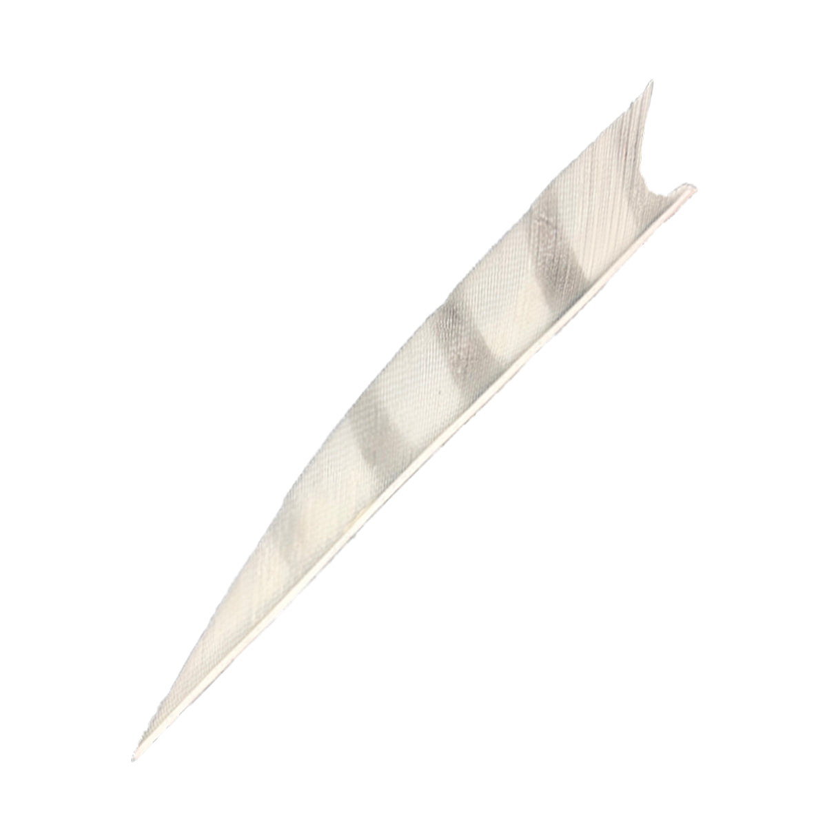 Feder RW Shark weiß, lang und schmal, leicht gebogen, diagonale graue Streifen, vorne spitze Kante, hinten gezackte Spitze