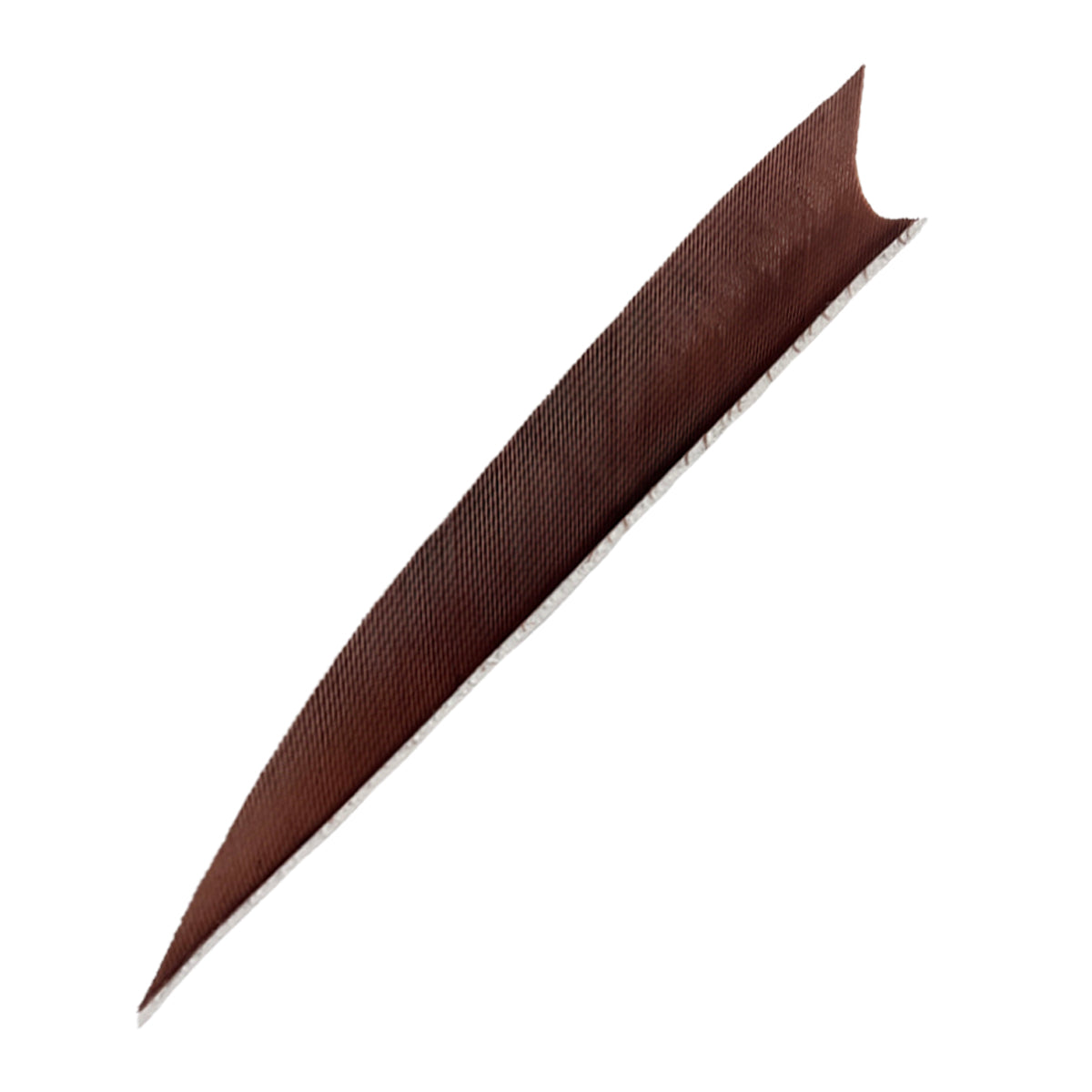 Eine lange, schmale, braune Feder mit leicht gebogener und spitz zulaufender Form, feine Struktur auf der Oberfläche.