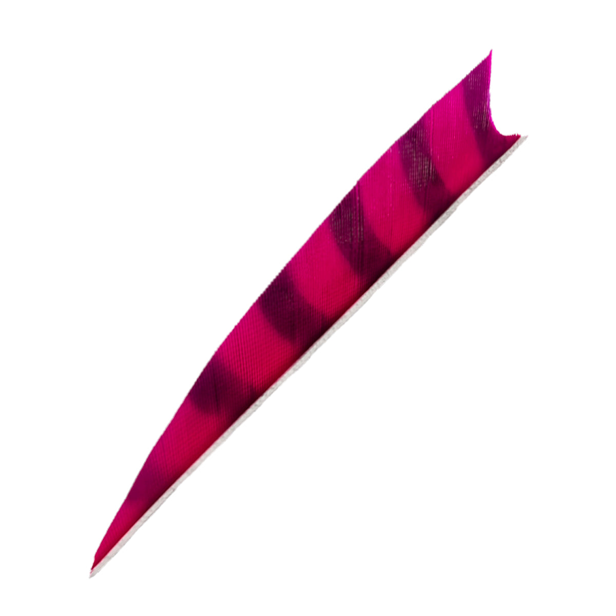Langes, schmal zulaufendes Objekt mit gezacktem Rand, überwiegend pink mit dunklen Streifen, Oberfläche wirkt textilartig