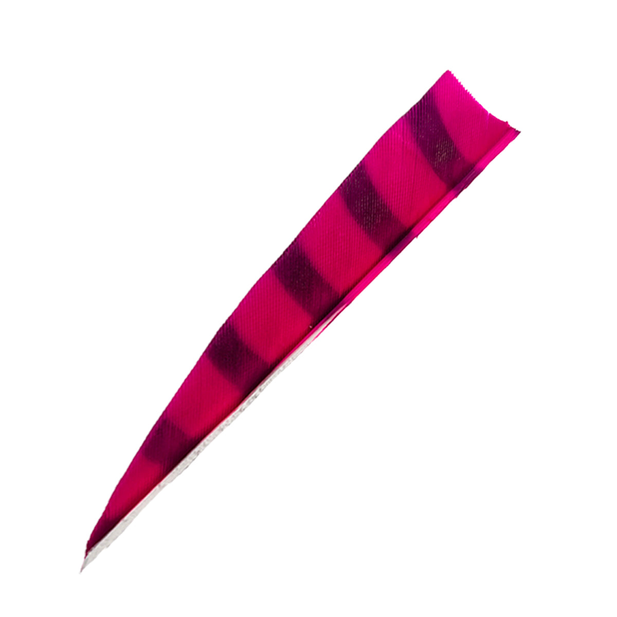 Längliches, spitz zulaufendes Objekt, leuchtend pink mit abwechselnd dunklen und hellen Streifen, federähnliche Struktur.