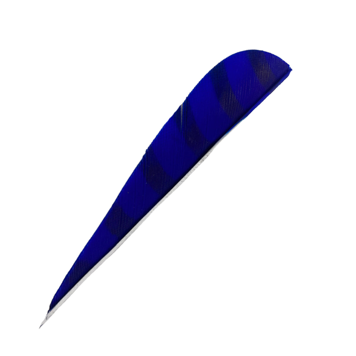 Ein längliches, gebogenes Objekt mit federartiger Struktur, intensiv blau, leichte Querstreifen, spitz zulaufendes Ende.