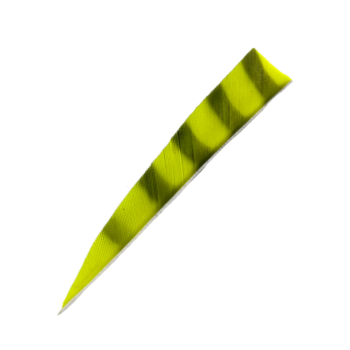 Ein langer, schmaler, gelb-grüner Gegenstand mit diagonalen dunklen Streifen, spitz zulaufend, mit strukturierter Oberfläche.