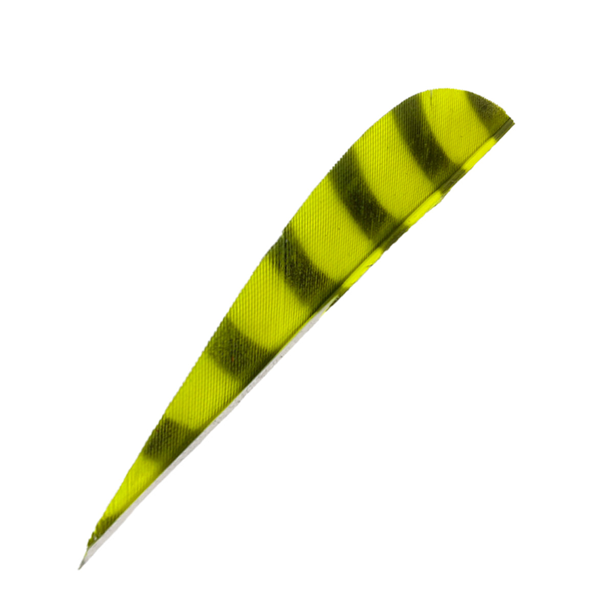 Eine einzelne, gebogene Feder in Gelb mit schwarzen Querstreifen, schmal zulaufende Form, strukturierte Oberfläche.