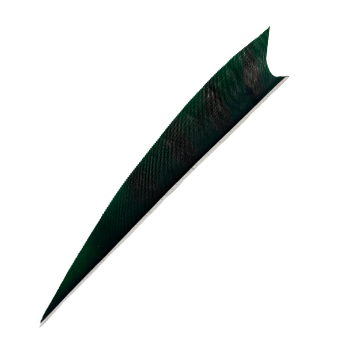 Feder RW Shark Barred