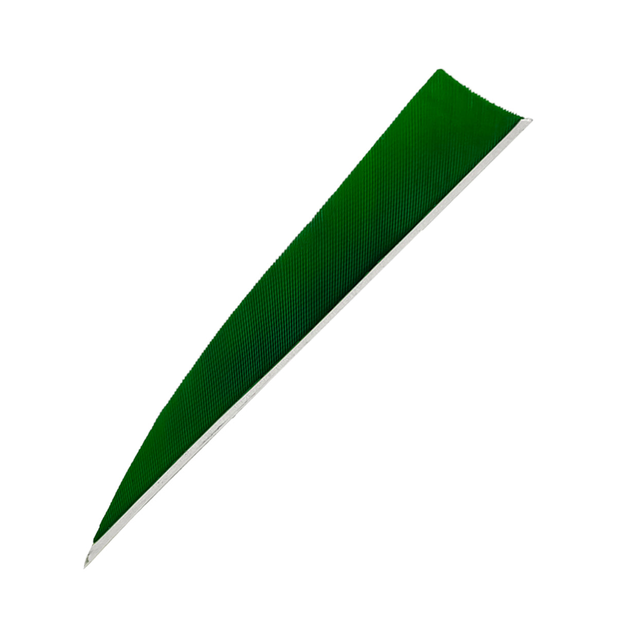 Ein längliches, grün gefärbtes Objekt mit einer scharfen, einseitig zulaufenden Kante und feiner Rillenstruktur.