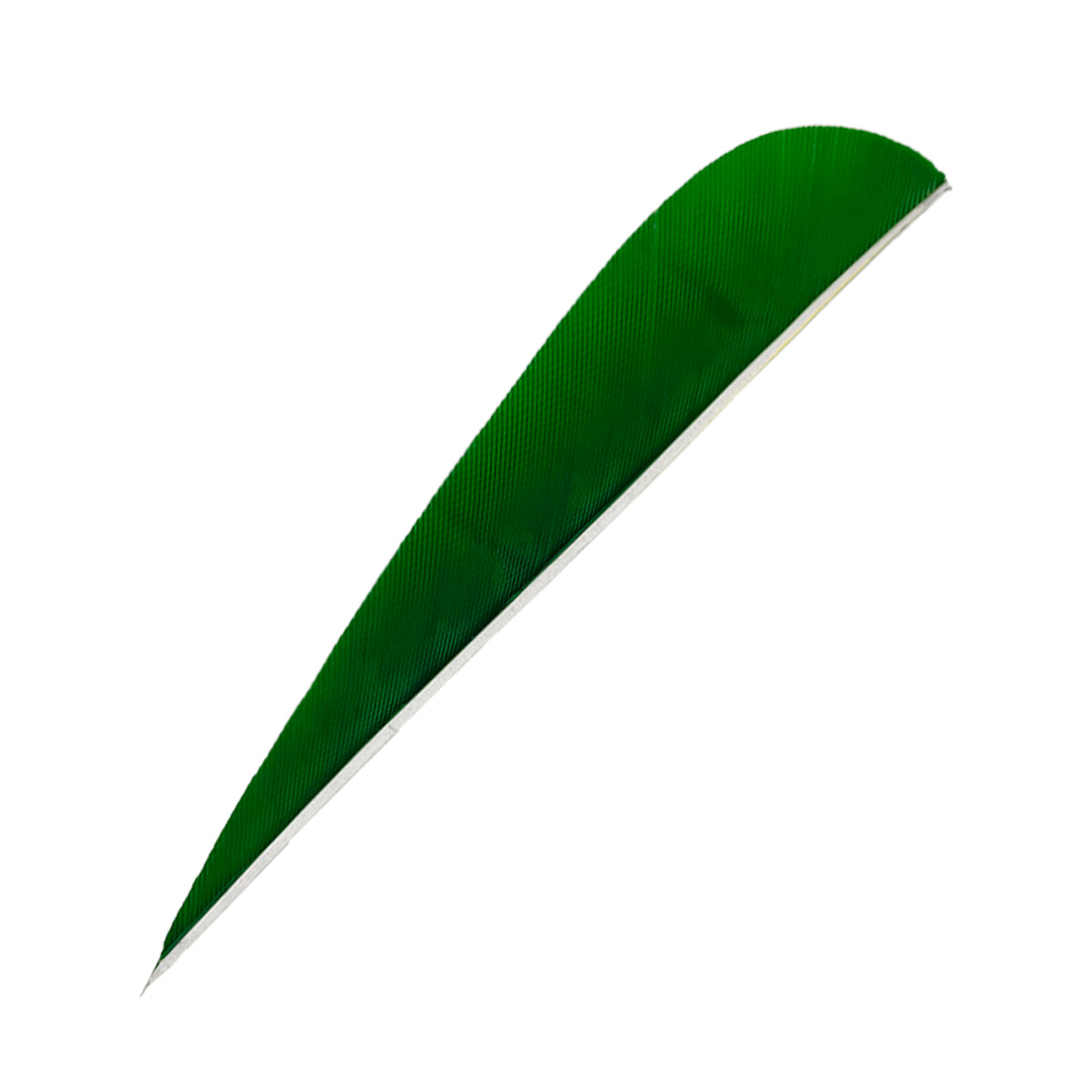 Ein einzelnes langes, gebogenes, grünes Federobjekt mit schmaler spitz zulaufender Form und feiner Oberflächenstruktur.