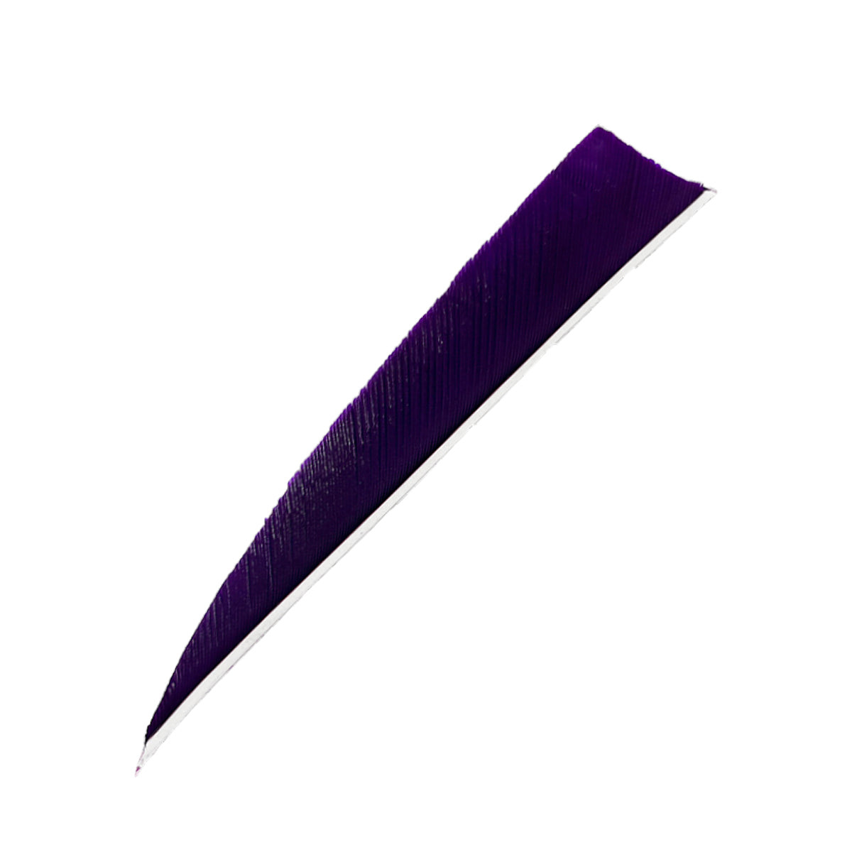 Ein längliches, schräg zulaufendes violettes Objekt mit sichtbarer Struktur und leichter Krümmung