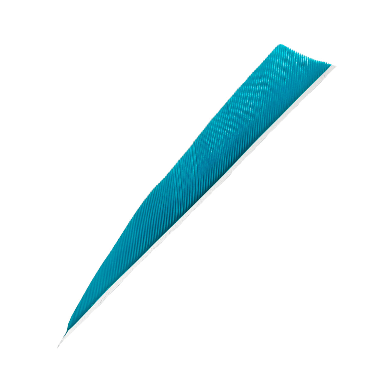 Ein langes, schmal zulaufendes Objekt mit intensiver türkiser Farbe und feiner Oberflächenstruktur, wirkt wie eine Feder.