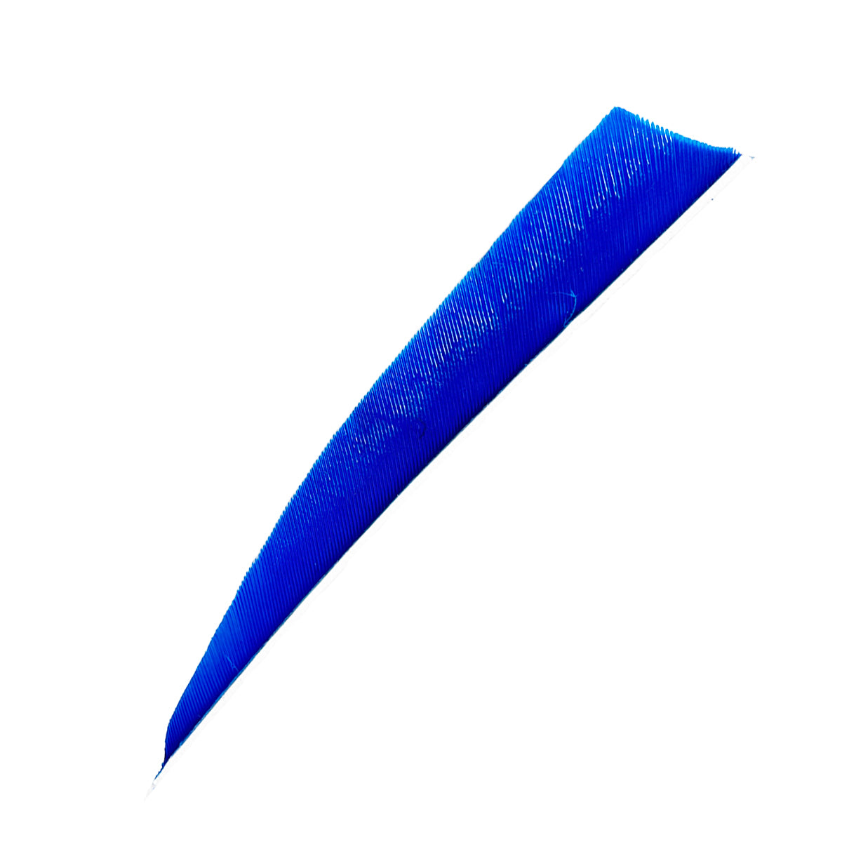 Ein längliches, spitz zulaufendes Objekt in leuchtendem Blau mit feinen Rillen und texturierter Oberfläche.