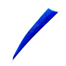 Ein längliches, spitz zulaufendes Objekt in leuchtendem Blau mit feinen Rillen und texturierter Oberfläche.