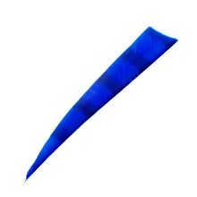 Ein längliches, schmal zulaufendes Objekt mit kräftiger blauer Farbe und feiner gerillter Oberfläche, leicht gebogen.