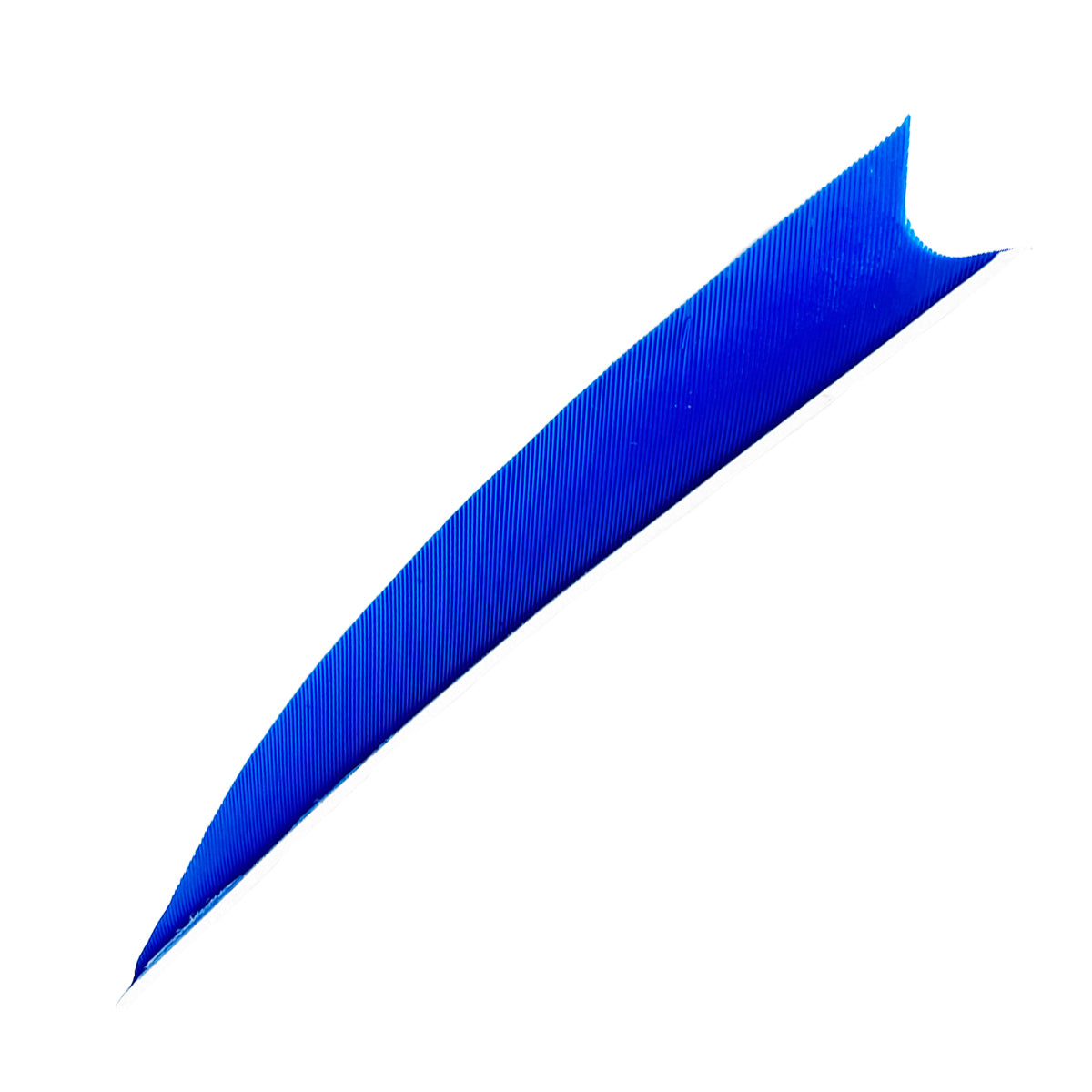 Ein einzelnes, gebogenes Objekt in kräftigem Blau mit feinen Rillen. Schmal, lang, spitz zulaufend, leicht gebogen.