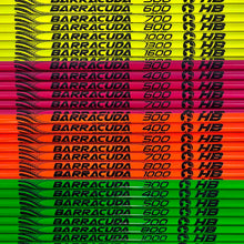 Mehrere Pfeilschäfte in vier Farben: Gelb, Pink, Orange, Grün. Text „BARRACUDA“ und Zahlen 300–1600, daneben HB-Logo.