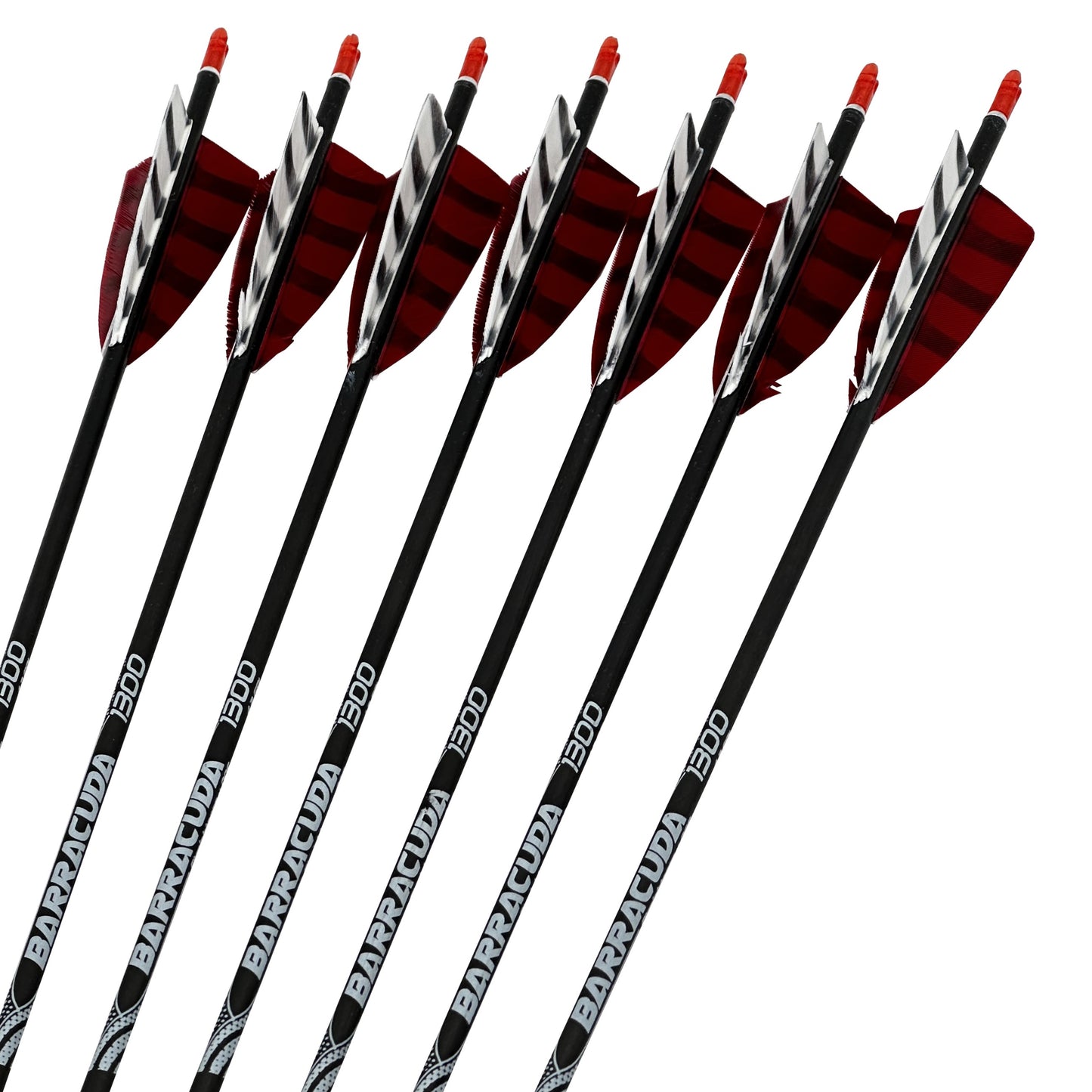 Custom Pfeil Barracuda